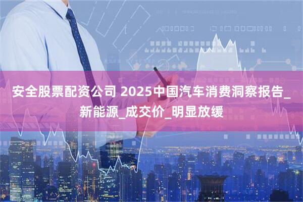 安全股票配资公司 2025中国汽车消费洞察报告_新能源_成交价_明显放缓